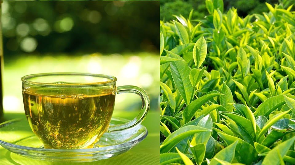 • Nhâm nhi một tách trà xanh